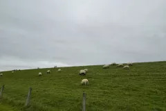 Norddeich-2024-10-20-005-1