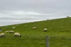 Norddeich-2024-10-20-006-1
