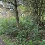 IMG_2265
