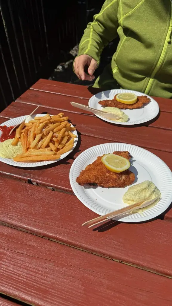 Fiskefilet mit Pommes
